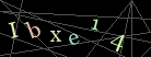 CAPTCHA Turing Test