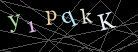 CAPTCHA Turing Test