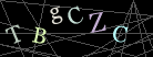 CAPTCHA Turing Test