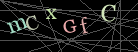 CAPTCHA Turing Test