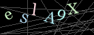 CAPTCHA Turing Test