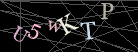 CAPTCHA Turing Test