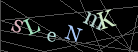 CAPTCHA Turing Test