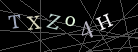 CAPTCHA Turing Test