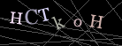 CAPTCHA Turing Test