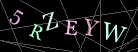 CAPTCHA Turing Test