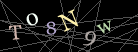 CAPTCHA Turing Test