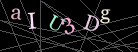 CAPTCHA Turing Test