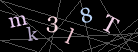 CAPTCHA Turing Test