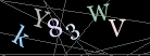 CAPTCHA Turing Test