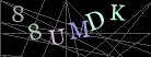 CAPTCHA Turing Test