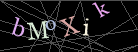 CAPTCHA Turing Test