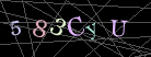 CAPTCHA Turing Test