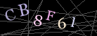 CAPTCHA Turing Test