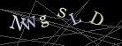 CAPTCHA Turing Test