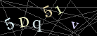 CAPTCHA Turing Test
