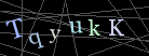 CAPTCHA Turing Test