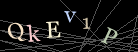 CAPTCHA Turing Test