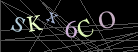 CAPTCHA Turing Test