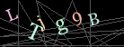 CAPTCHA Turing Test