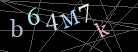 CAPTCHA Turing Test