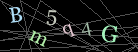 CAPTCHA Turing Test