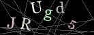 CAPTCHA Turing Test