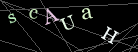 CAPTCHA Turing Test