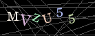 CAPTCHA Turing Test