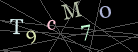 CAPTCHA Turing Test