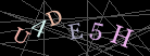 CAPTCHA Turing Test