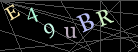 CAPTCHA Turing Test