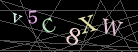 CAPTCHA Turing Test
