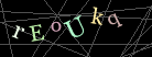CAPTCHA Turing Test