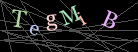 CAPTCHA Turing Test