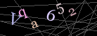 CAPTCHA Turing Test