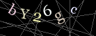 CAPTCHA Turing Test