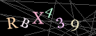 CAPTCHA Turing Test